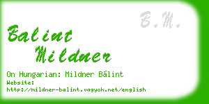 balint mildner business card